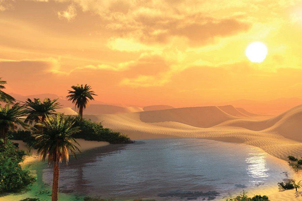 Create your own oasis